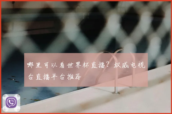 哪里可以看世界杯直播？权威电视台直播平台推荐