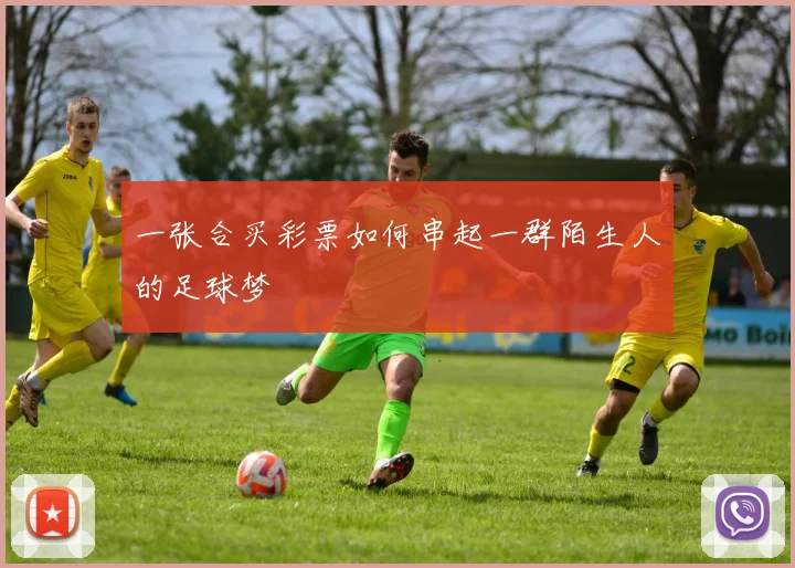 一张合买彩票如何串起一群陌生人的足球梦