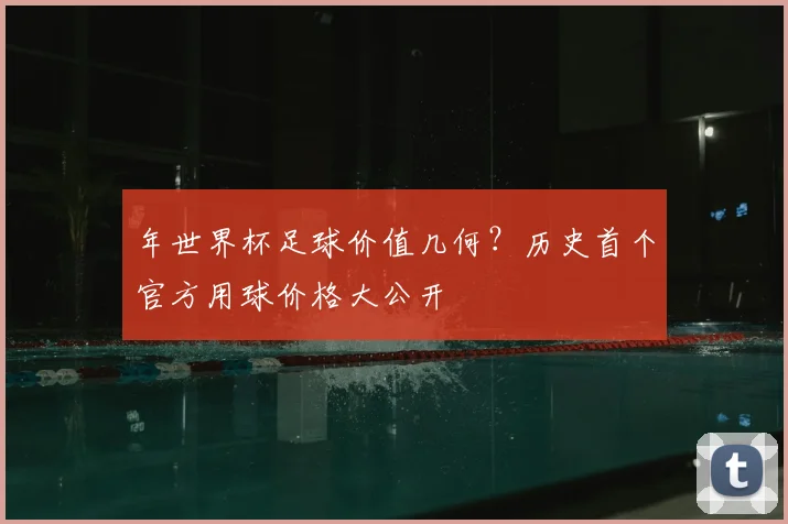年世界杯足球价值几何？历史首个官方用球价格大公开