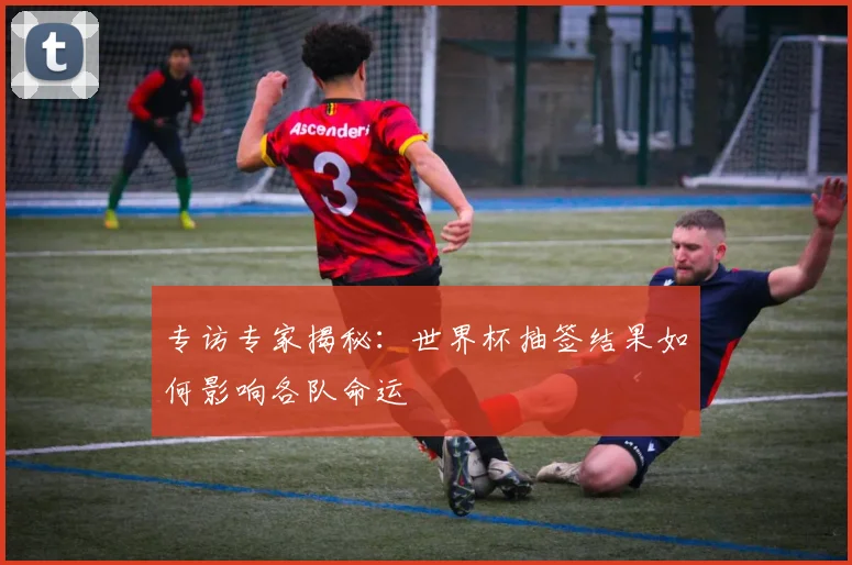 专访专家揭秘：世界杯抽签结果如何影响各队命运