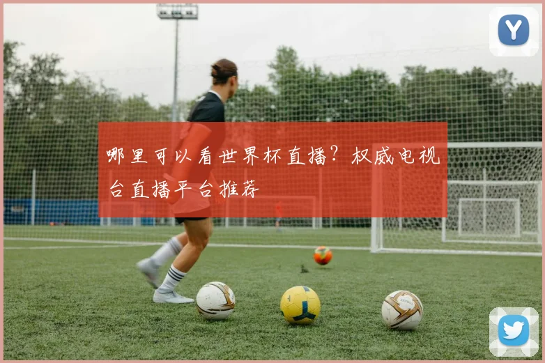 哪里可以看世界杯直播?权威电视台直播平台推荐