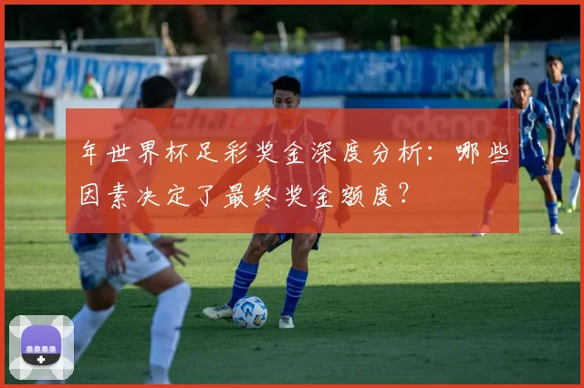 年世界杯足彩奖金深度分析：哪些因素决定了最终奖金额度？