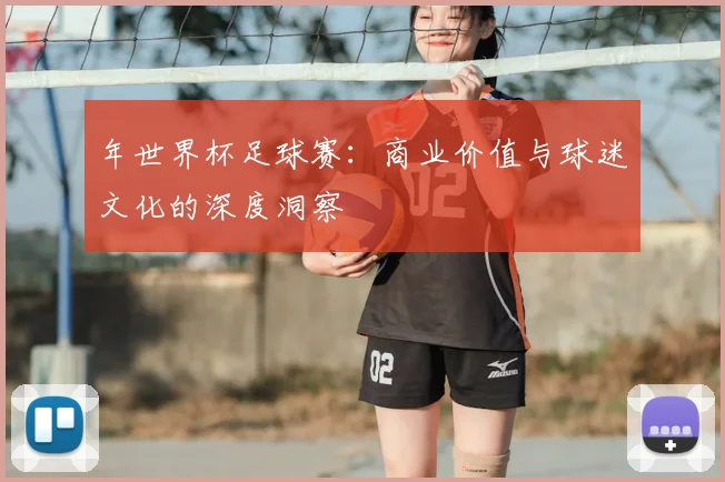 年世界杯足球赛：商业价值与球迷文化的深度洞察