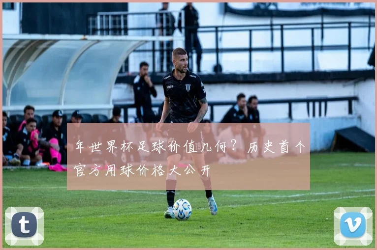 年世界杯足球价值几何？历史首个官方用球价格大公开
