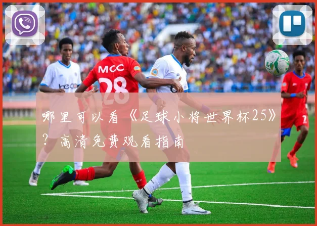 哪里可以看《足球小将世界杯25》?高清免费观看指南
