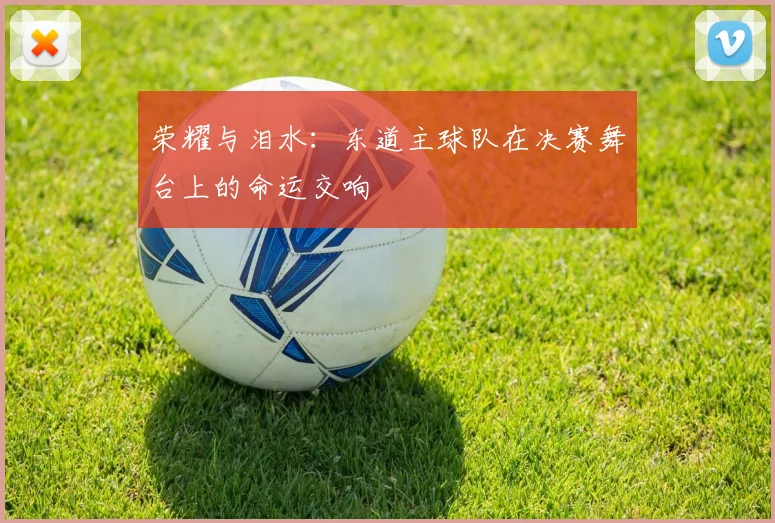 荣耀与泪水:东道主球队在决赛舞台上的命运交响