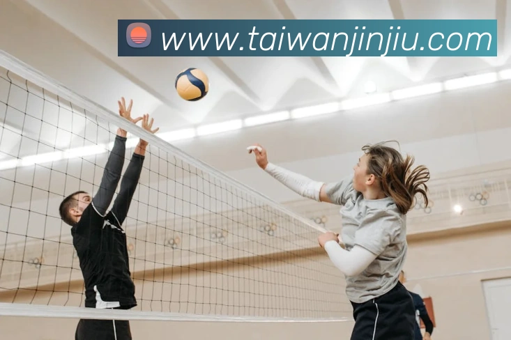 新爱体育直播APP 封面图